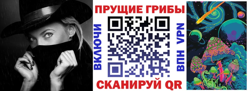 где найти   Высоцк  Галлюциногенные грибы MAGIC MUSHROOMS 